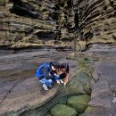 1915지오 이미지