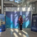 익산그레이트오케스트라 창단연주회 | [하남] 히사이시 조 영화음악 콘서트 2024 S석 황홀했던 관람 후기