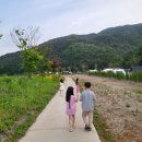 고릴라캠핑 in 속리산 이미지
