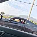 그랑프리주유소 이미지