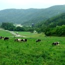 하늘목장 이미지