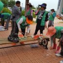 당하농장 이미지