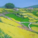 완도10호 이미지