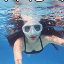 아미고스 다이브(Amigos Dive) 네이버블로그