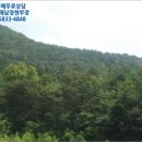 문의초등학교도원분교장 이미지