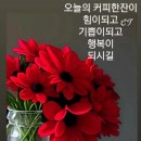 청군 백군 이미지