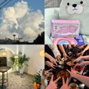코노미네일 | 7월 넷째주 일상 기록 PHOTO DUMP
