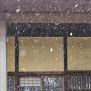 눈과 함께 이미지