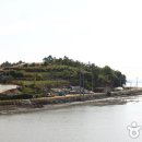 백일도 Daum카페