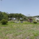 알버트부동산중개 이미지