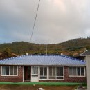 시산이드레 이미지