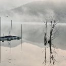 가을별빛 이미지