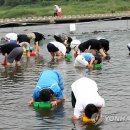 둔율올갱이영농조합법인 이미지