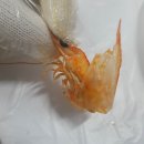 CU김포전류리점 | 김포 전류리포구 소금새우구이