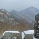 코아항공여행사