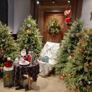 정원 | 파주 그릇 에델바움 &amp; 모드니 &amp; 도토리정원 후기