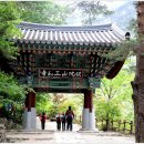 삼하사