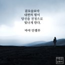 명품인생 이미지