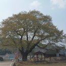 춘자목장 이미지