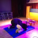 극단아낌없이주는나무 이미지