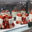 잘크는농장 | 대구 케이크 맛집 추천 시즈니크 신세계백화점 딸기케이크 솔직 후기