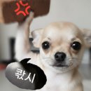 주차장매점 이미지