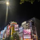 카페정색 | 도쿄 여자 혼자 여행 1일차 코스 아사쿠사 센소지, 메이드 카페 후기