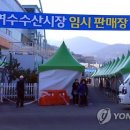 보해수산 - 5186 | 보해수산