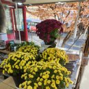 팔우정식당 | 부산 금곡동 맛집 저렴한 가격에 푸짐한 양의 고기집 팔우정