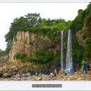 서귀동-43 이미지