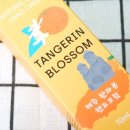 에스와이티 이미지