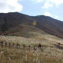 자연미림 이미지