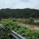 당진축산