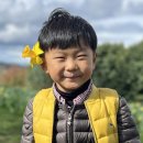 스톤빌리지민박 이미지