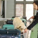 힐동물병원 이미지