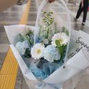 교대역 꽃집 후기｜싱그러운 생화와 예쁜 꽃다발🌸