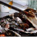 일품해물칼국수 이미지