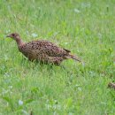 산중문답 이미지