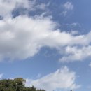 선경세차장 이미지