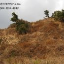 서호동-3 이미지