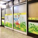 다소미로 이미지