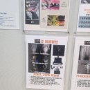 준동물병원 | 자양동동물병원 준동물병원 강아지 루찌 심장평가 심장관리 후기