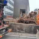 대원조경건설㈜ | 대구 폐기물 신축공사 현장 임목폐기물 처리 나무뿌리·폐목재 5톤 집게차 반출 작업 후기