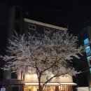 떡볶이&감자튀김