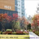 내손ㆍ내동초등학교 이미지