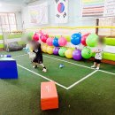 경희대금성태권도장 네이버블로그