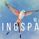 미플보드게임
