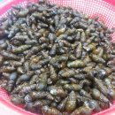 냇가한옥 이미지