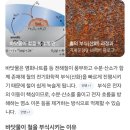 5회의 의문점 이미지