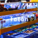 안면도농수산 | 태안 안면도 수산시장 조개 가리비 대하 가격 주차 정보